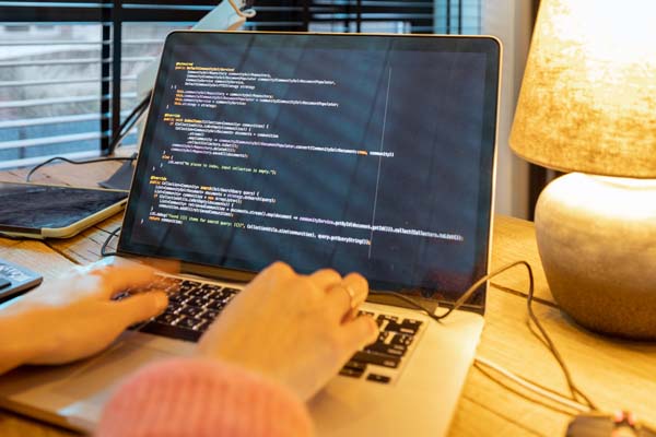 Freelance Web Developer vs. Agency