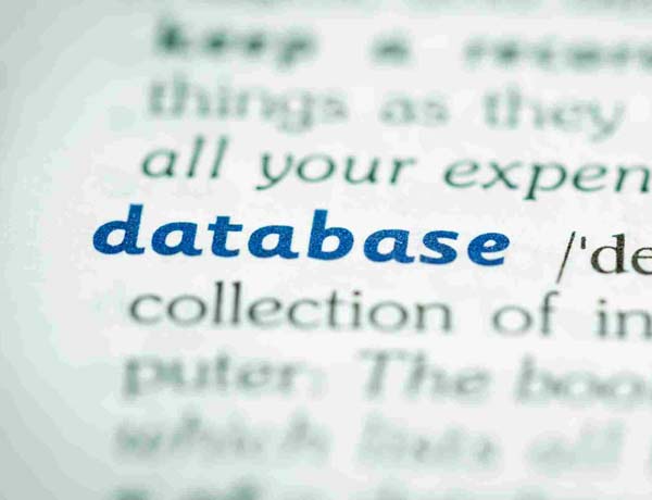 database management services