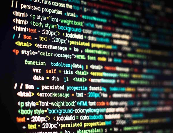 Developer working on backend and frontend code